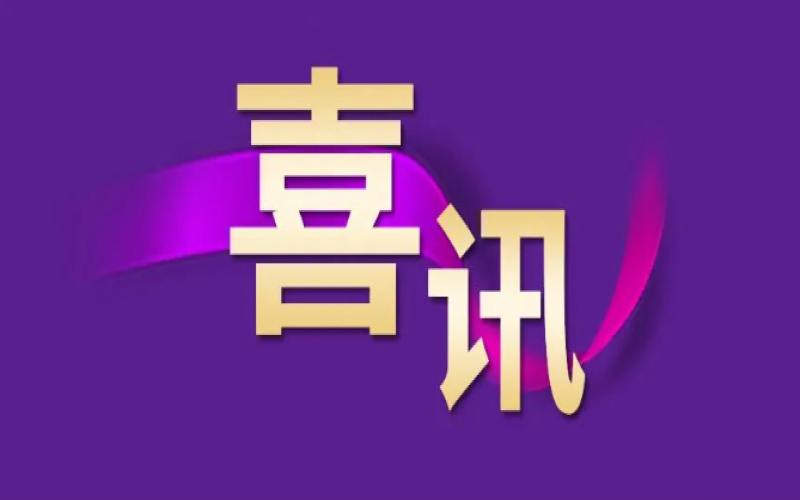 勁升16位！榮程集團(tuán)躍居中國企業(yè)500強(qiáng)第240位