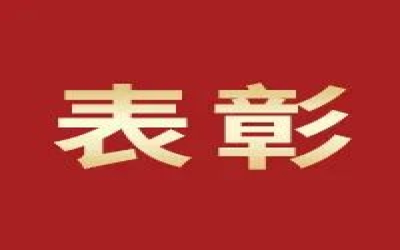 奮進(jìn)2023，這些集體和個(gè)人無上“榮”光