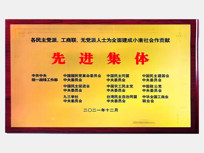 各民主黨派、工商聯(lián)、無黨派人士為全面建成小康社會作貢獻先進集體